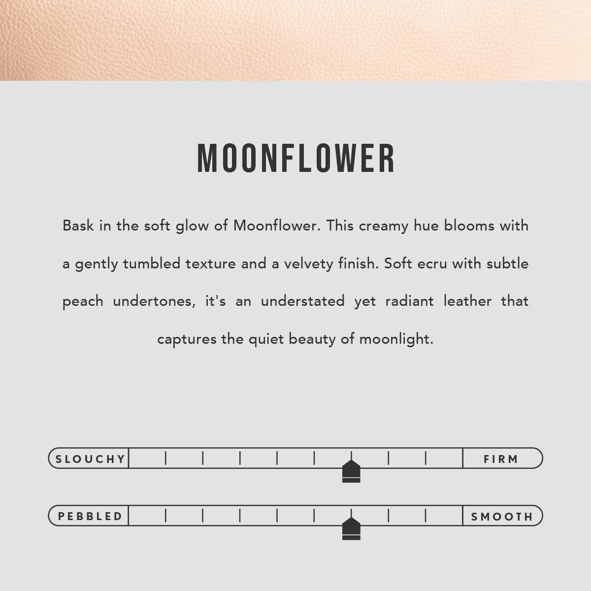 Koala Sling Bag - Image 242